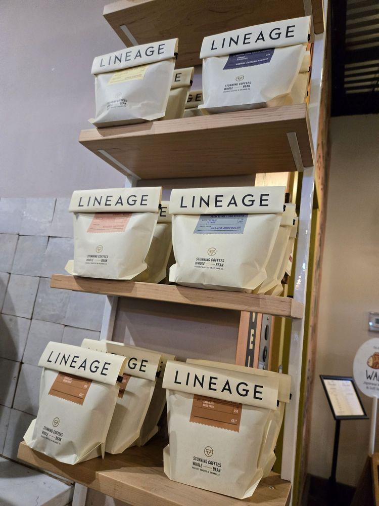 Lineage Coffee Roasting - Photo 3