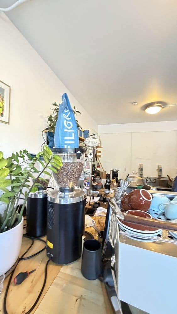Golden Goat Coffee - Photo 2