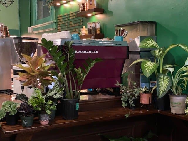 Undergrowth Coffee - Photo 3