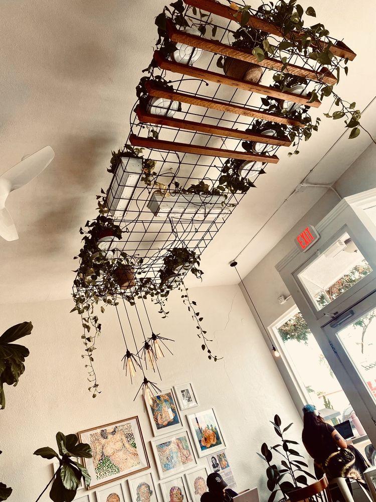 Steelhead Coffee - Photo 3