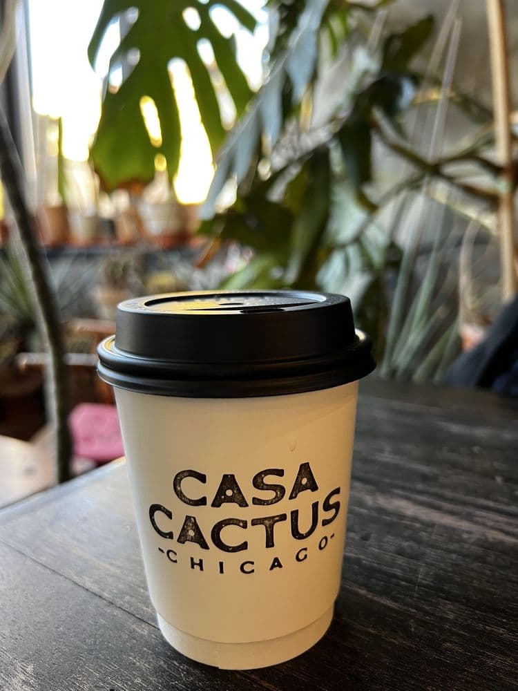 Casa Cactus - Photo 1