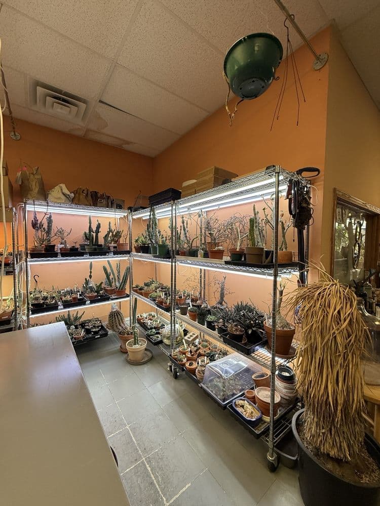Casa Cactus - Photo 3